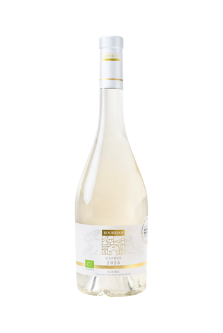Vin blanc Esprit 2025 – IGP Maures | Domaine du Bourrian